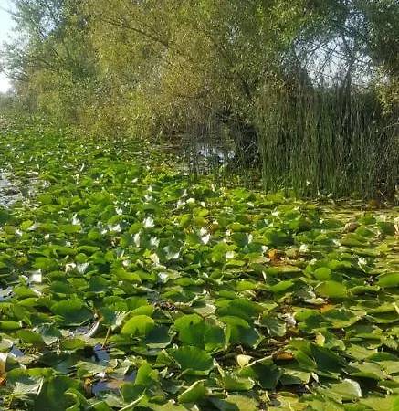 Casa Maxim Σουλινάς