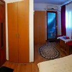 Guest house Casa Maxim Sulina